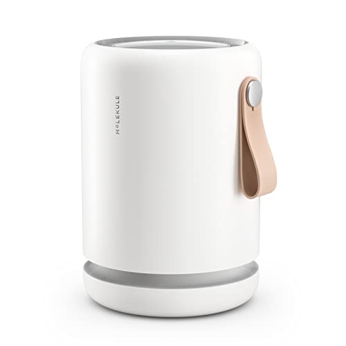 Molekule Air Mini+ vs Dyson TP10 Purifier Cool 2026 - Which Should You Buy?