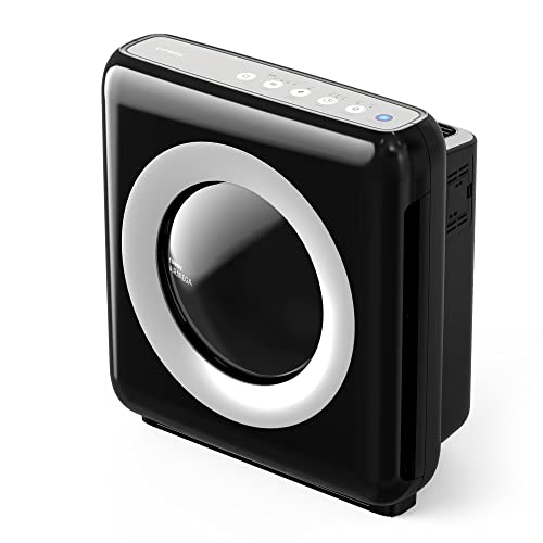 Coway AP-1512HH Mighty vs Honeywell HPA5300B 2026 - Which Should You Buy?