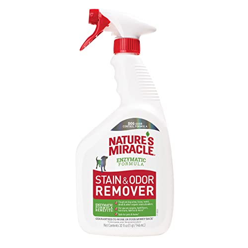 Nature’s Miracle Stain Remover Review 2026 – What to Expect Before Buying